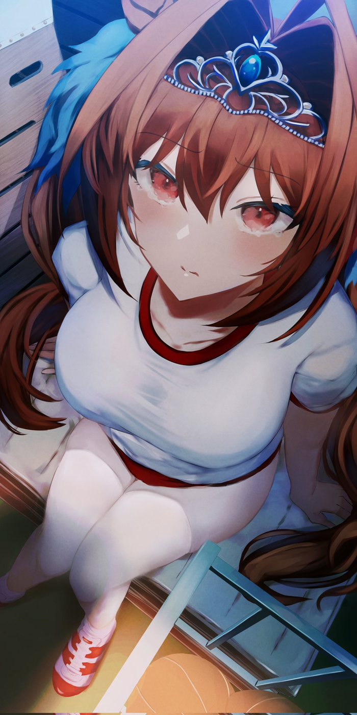 Daiwa Scarlet , Anime Art, Daiwa Scarlet, Uma Musume Pretty Derby, , , Animal Ears