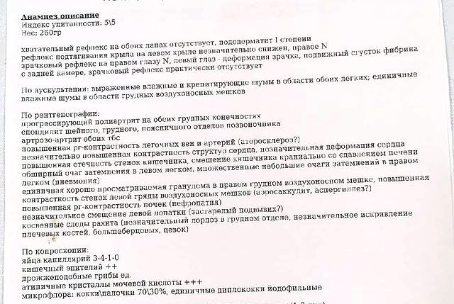 зачем ты умылась нормально же общались. 1634067804120390248. зачем ты умылась нормально же общались фото. зачем ты умылась нормально же общались-1634067804120390248. картинка зачем ты умылась нормально же общались. картинка 1634067804120390248.