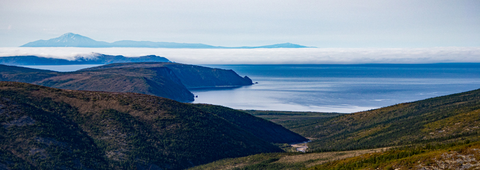 �������� ����. �������� ����