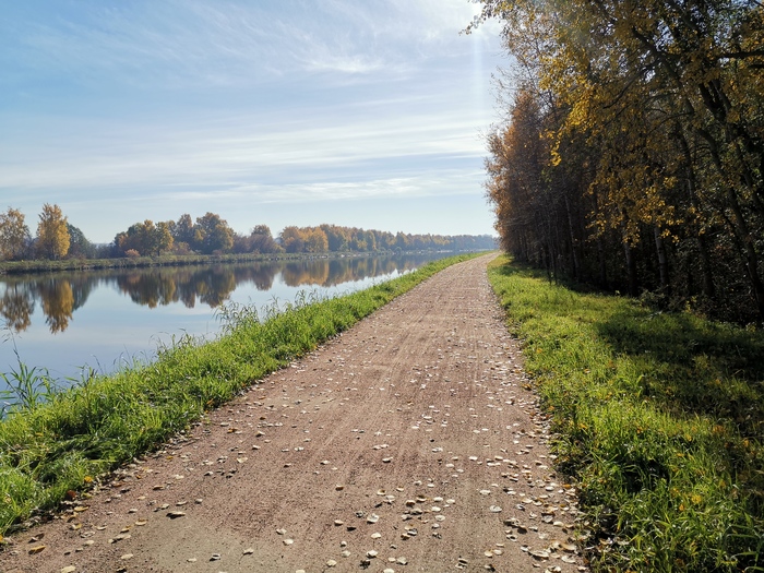 на каком уровне должно быть седло велосипеда. Смотреть фото на каком уровне должно быть седло велосипеда. Смотреть картинку на каком уровне должно быть седло велосипеда. Картинка про на каком уровне должно быть седло велосипеда. Фото на каком уровне должно быть седло велосипеда