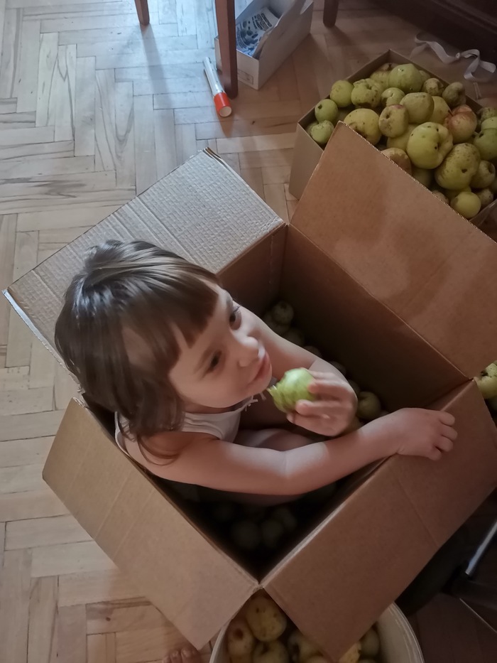 �������� �����������