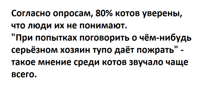 Подведены итоги опросов среди котов