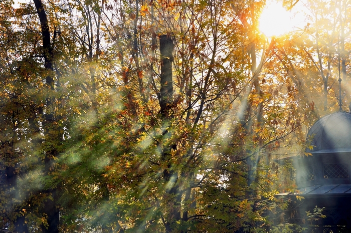 ������ ����