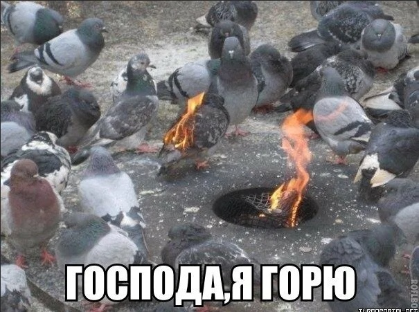 первая жизнь пожар текст. Смотреть фото первая жизнь пожар текст. Смотреть картинку первая жизнь пожар текст. Картинка про первая жизнь пожар текст. Фото первая жизнь пожар текст