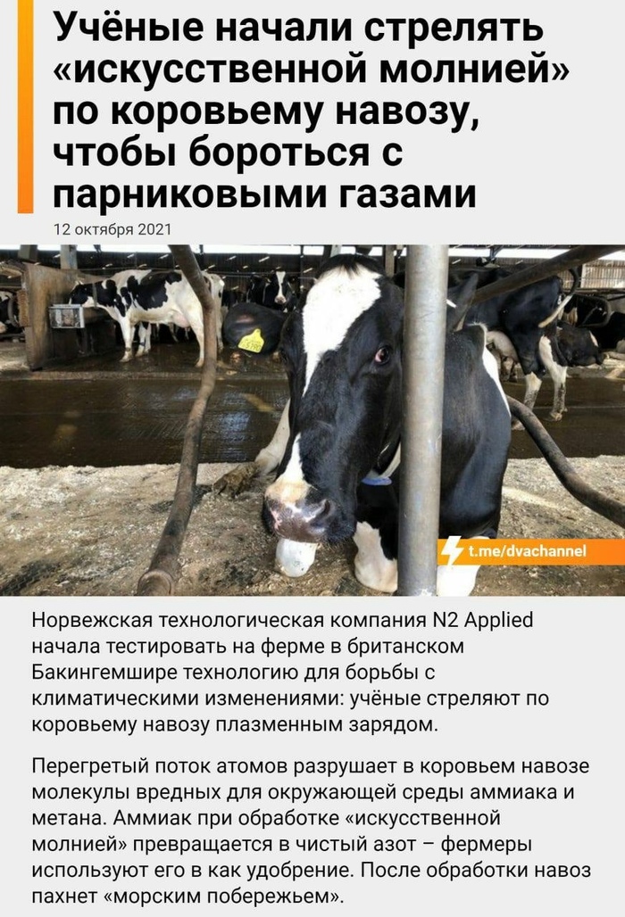 Чем они занимаются ночью. Смотреть фото Чем они занимаются ночью. Смотреть картинку Чем они занимаются ночью. Картинка про Чем они занимаются ночью. Фото Чем они занимаются ночью