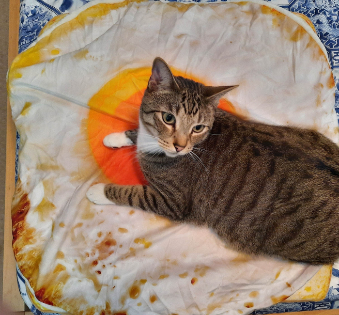 Яичница с колбаской