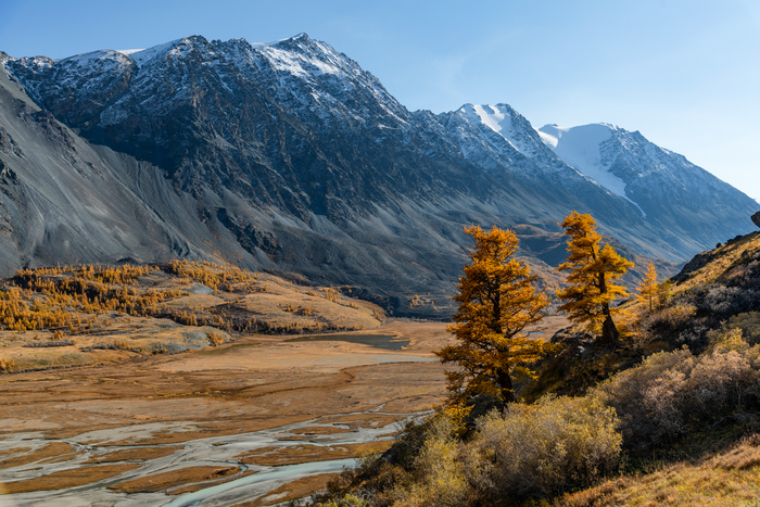 То самое, золото Алтая