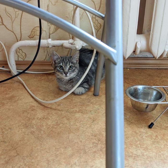 на кого можно охотиться в ленинградской области. 1634236295110155402. на кого можно охотиться в ленинградской области фото. на кого можно охотиться в ленинградской области-1634236295110155402. картинка на кого можно охотиться в ленинградской области. картинка 1634236295110155402. Региональные особенности в сроках и способах охоты в Ленинградской области утверждены постановлением Губернатора Ленинградской области от 25 марта 2021 года № 21-пг «Об определении видов разрешенной охоты и параметров осуществления охоты на территории Ленинградской области«. Охота на все остальные виды охотничьих животных, не упомянутые в этом нормативном документе, осуществляется в сроки, установленные федеральными правилами охоты в России.