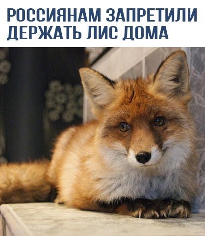 Удаляем файерфокс | Пикабу