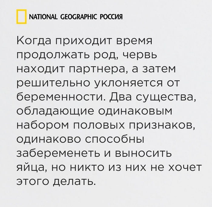 national geographic жизнь до рождения собаки. Смотреть фото national geographic жизнь до рождения собаки. Смотреть картинку national geographic жизнь до рождения собаки. Картинка про national geographic жизнь до рождения собаки. Фото national geographic жизнь до рождения собаки
