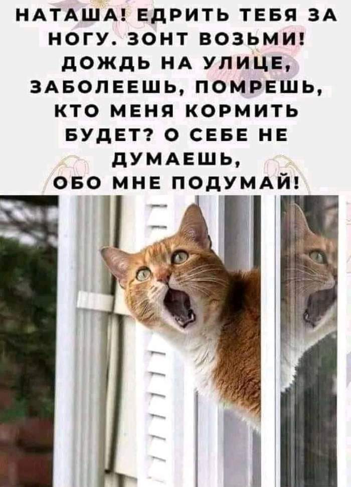 лучшие шутки за 300. Смотреть фото лучшие шутки за 300. Смотреть картинку лучшие шутки за 300. Картинка про лучшие шутки за 300. Фото лучшие шутки за 300