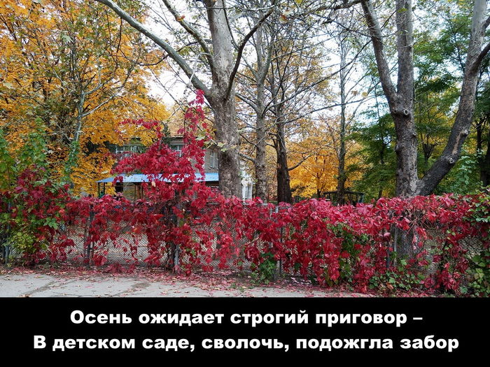 �������� �����