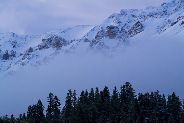 ���� ������