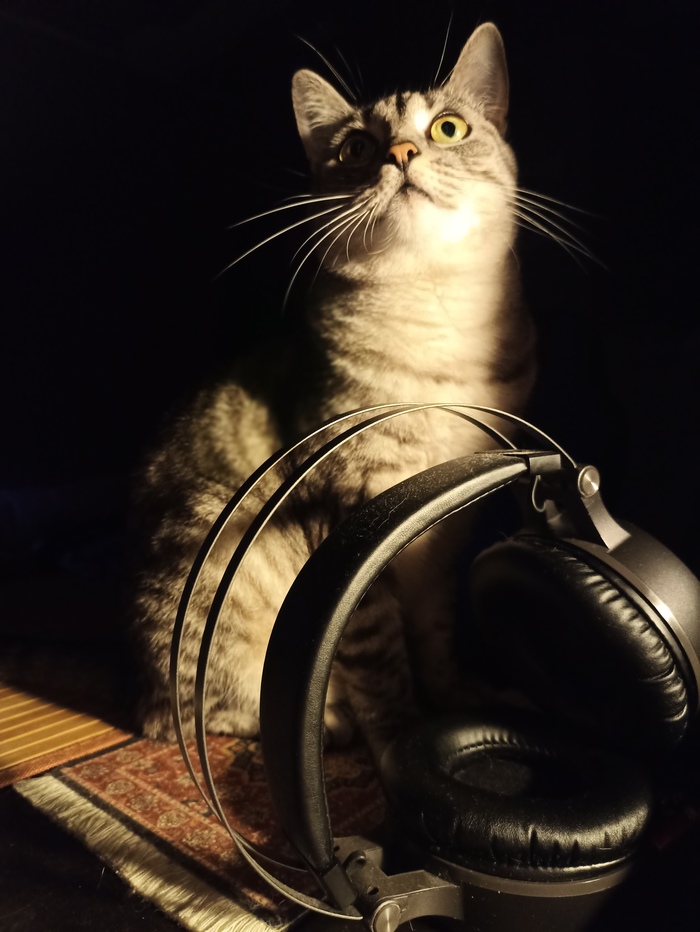 ������:3