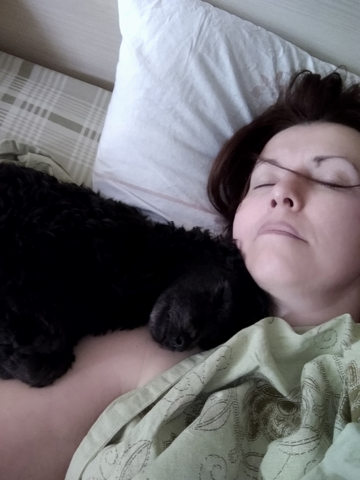 ��� �������...