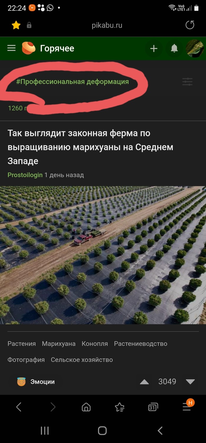 ������, ��� ��..?