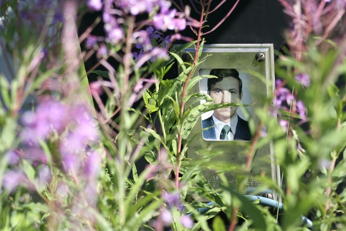 ���������. ��������������