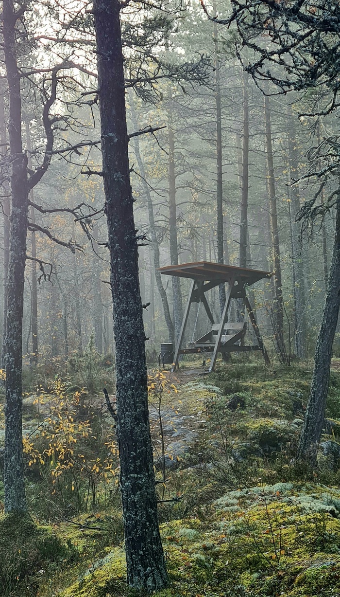 ���� � �������