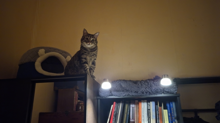 ��������� ��� � �����