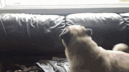      , , , 