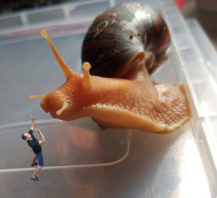 ����� �� ���� ������� � �������� ����������