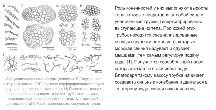 почему жизнь на земле не возникла раньше. Смотреть фото почему жизнь на земле не возникла раньше. Смотреть картинку почему жизнь на земле не возникла раньше. Картинка про почему жизнь на земле не возникла раньше. Фото почему жизнь на земле не возникла раньше