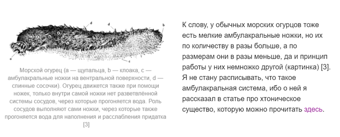 почему жизнь на земле не возникла раньше. Смотреть фото почему жизнь на земле не возникла раньше. Смотреть картинку почему жизнь на земле не возникла раньше. Картинка про почему жизнь на земле не возникла раньше. Фото почему жизнь на земле не возникла раньше