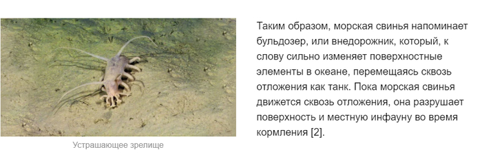 почему жизнь на земле не возникла раньше. Смотреть фото почему жизнь на земле не возникла раньше. Смотреть картинку почему жизнь на земле не возникла раньше. Картинка про почему жизнь на земле не возникла раньше. Фото почему жизнь на земле не возникла раньше