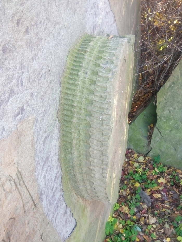 Что за диски такие? | Пикабу