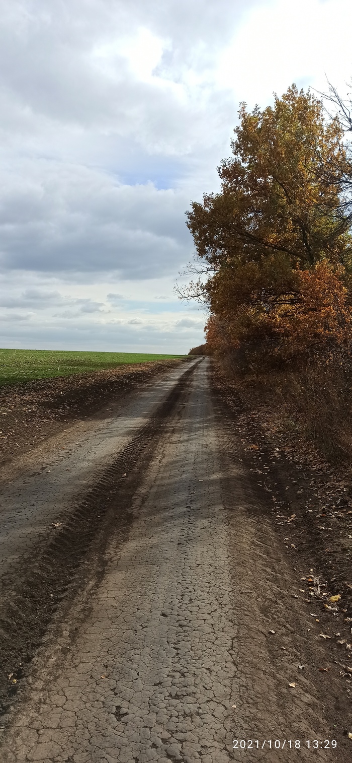 что такое гравити байк. Смотреть фото что такое гравити байк. Смотреть картинку что такое гравити байк. Картинка про что такое гравити байк. Фото что такое гравити байк