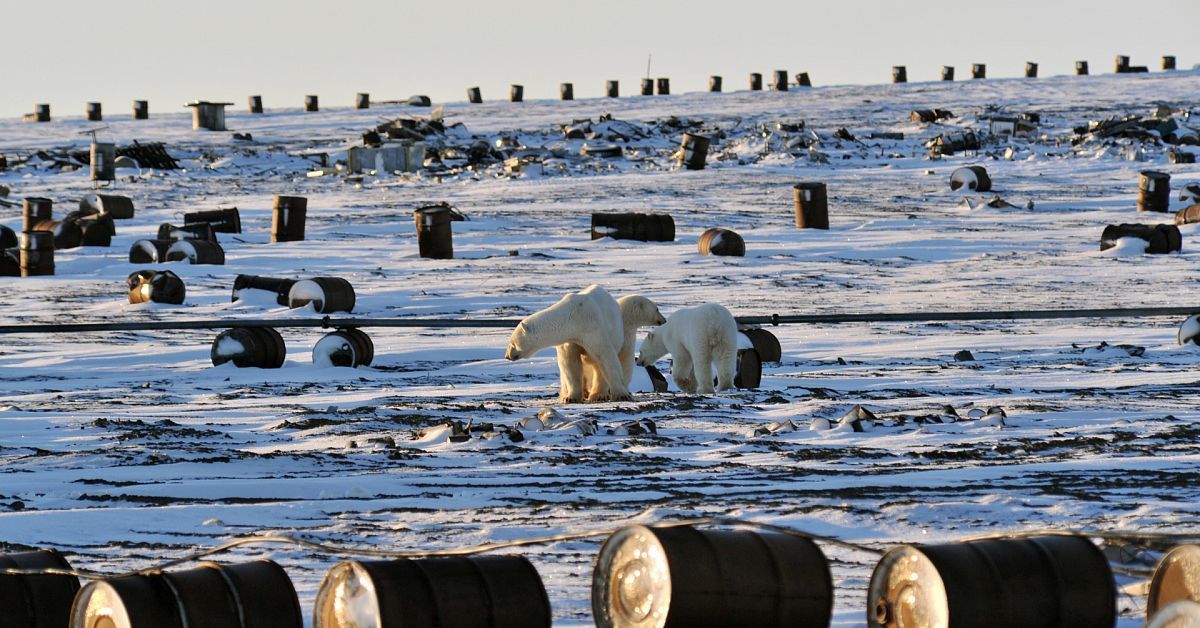 Экологическая обстановка в тундре. Загрязнение Северного Ледовитого океана. Бочки в Арктике. Экология Арктики. Загрязнение Арктики.