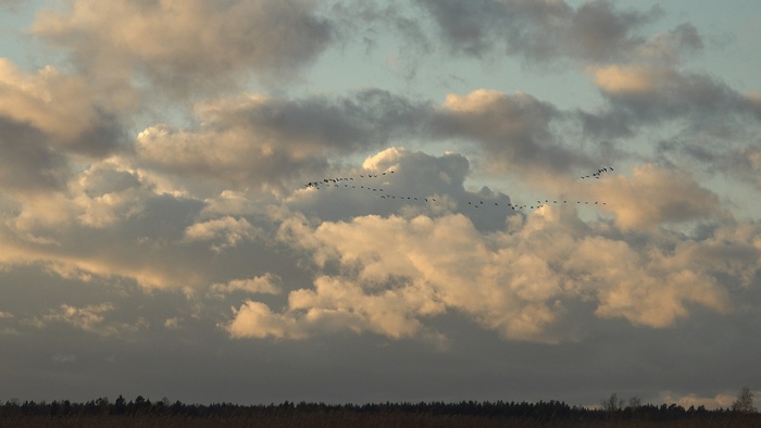 какая птица меньше колибри. Смотреть фото какая птица меньше колибри. Смотреть картинку какая птица меньше колибри. Картинка про какая птица меньше колибри. Фото какая птица меньше колибри какая птица меньше колибри. Смотреть фото какая птица меньше колибри. Смотреть картинку какая птица меньше колибри. Картинка про какая птица меньше колибри. Фото какая птица меньше колибри