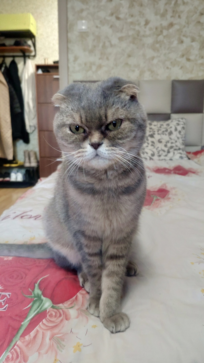 Посудомойка не хочет