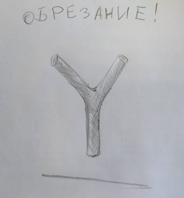 курица или петух трава как называется. Смотреть фото курица или петух трава как называется. Смотреть картинку курица или петух трава как называется. Картинка про курица или петух трава как называется. Фото курица или петух трава как называется курица или петух трава как называется. Смотреть фото курица или петух трава как называется. Смотреть картинку курица или петух трава как называется. Картинка про курица или петух трава как называется. Фото курица или петух трава как называется