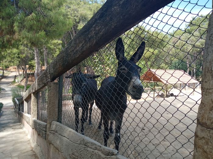 Районы Антальи, длиннопост. Турция, Районы кварталы, Переезд, Анталия, Длиннопост