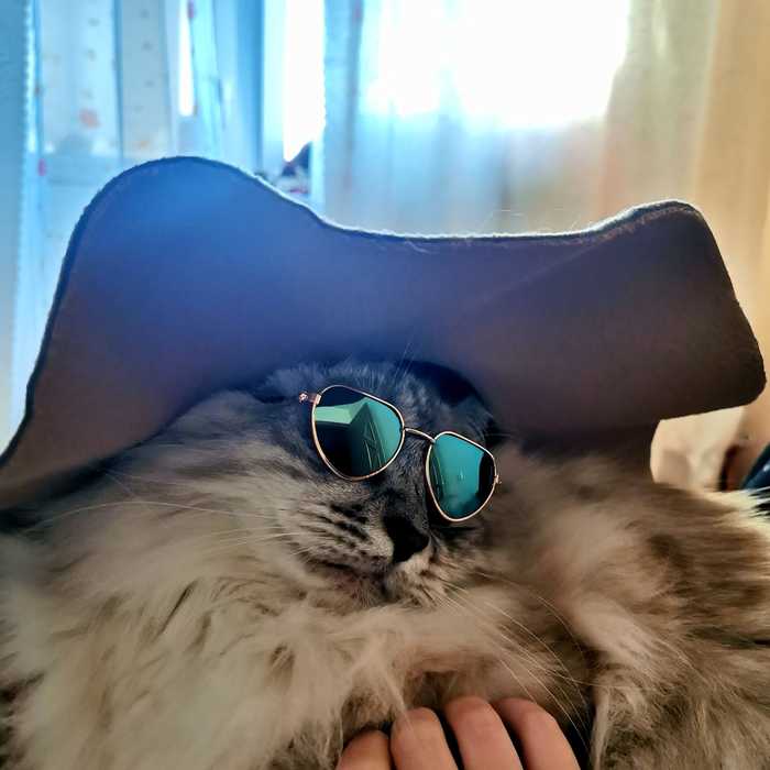 ������� �������� ����...