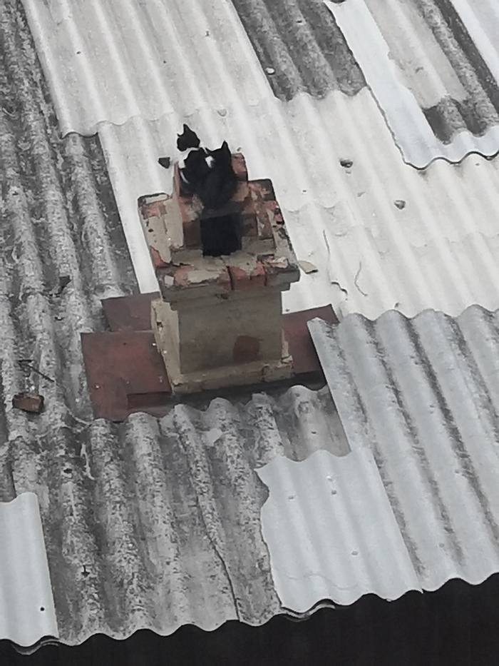 Зима близко!