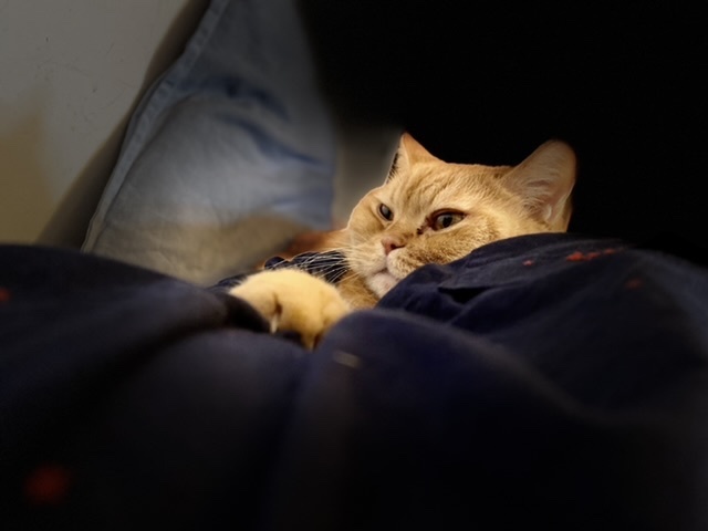 Снова Василий: с годами крепче вино в старых мехах