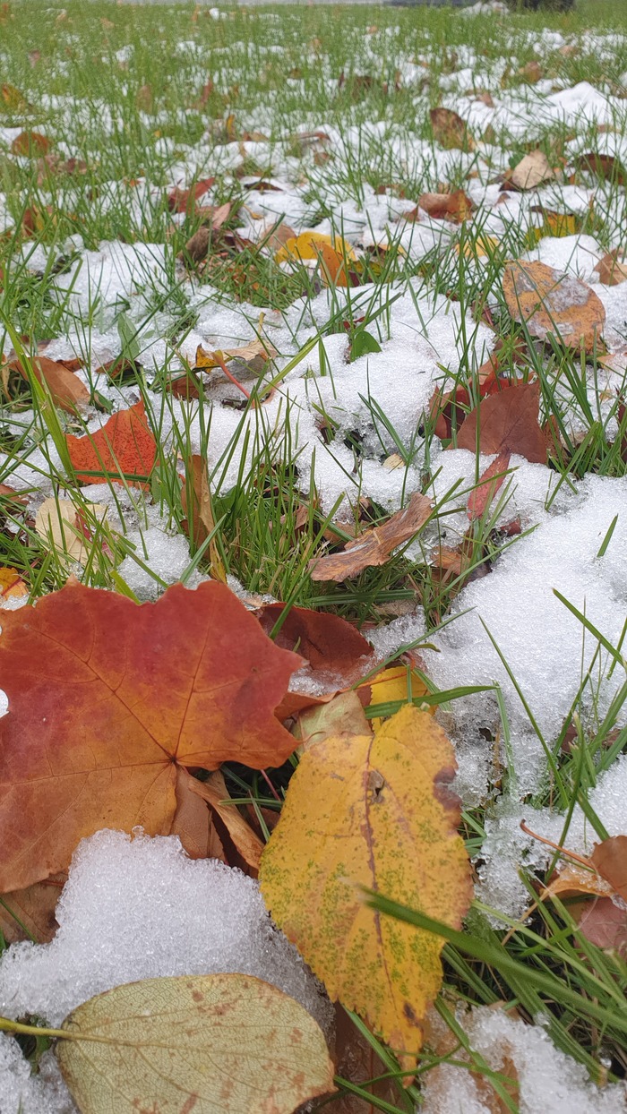 ��� ������ ����