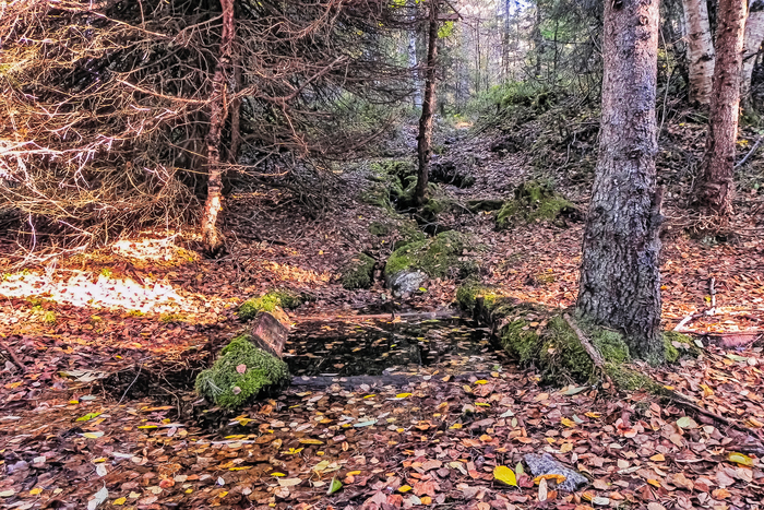 Осень, старый родник