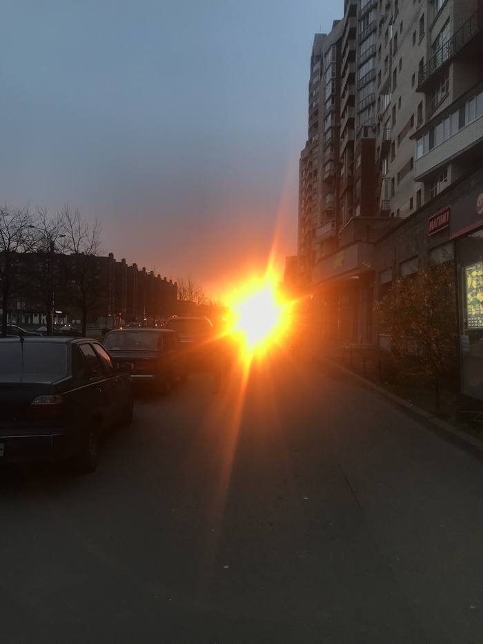 Питерское солнце передаёт вам холодный привет