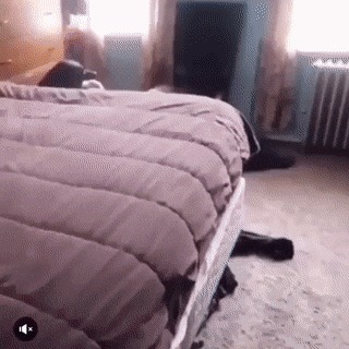      , , , 