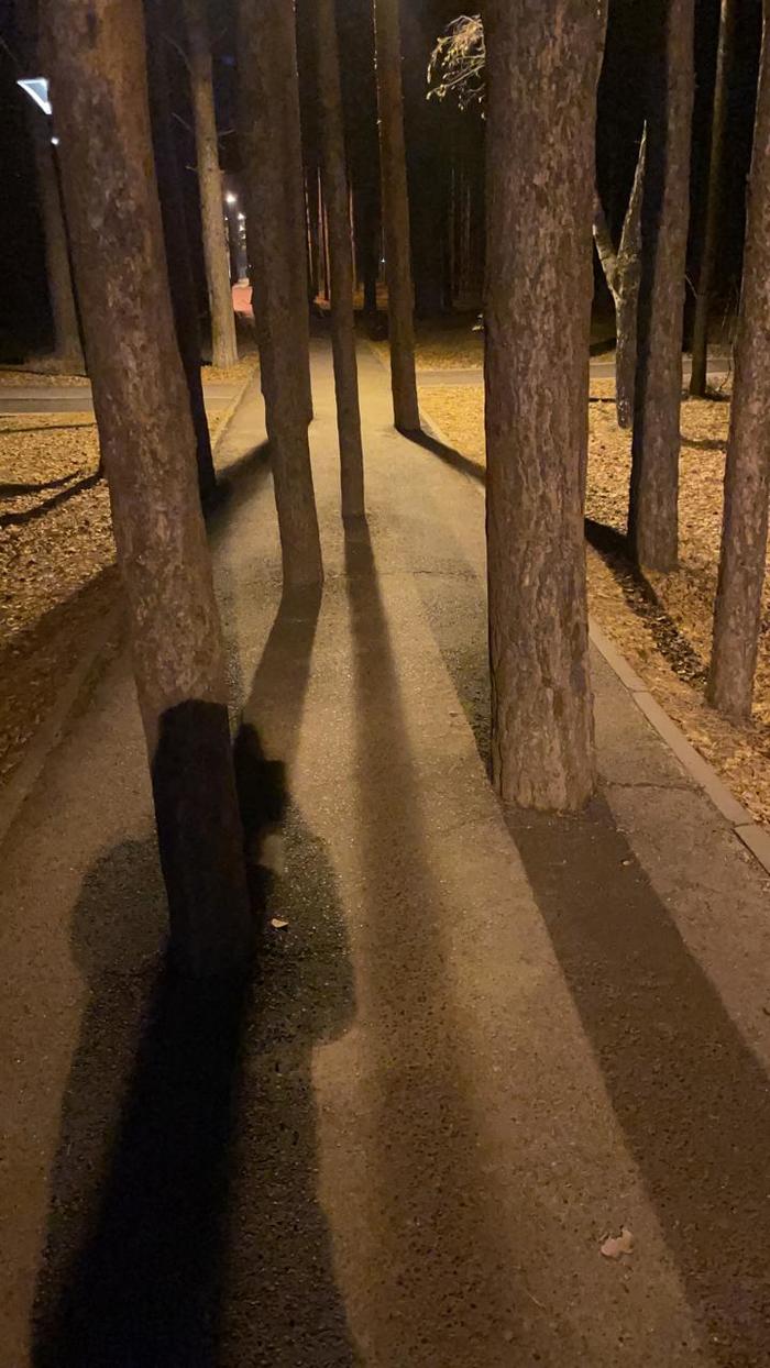 ��� ����� �� �����, �������� ���