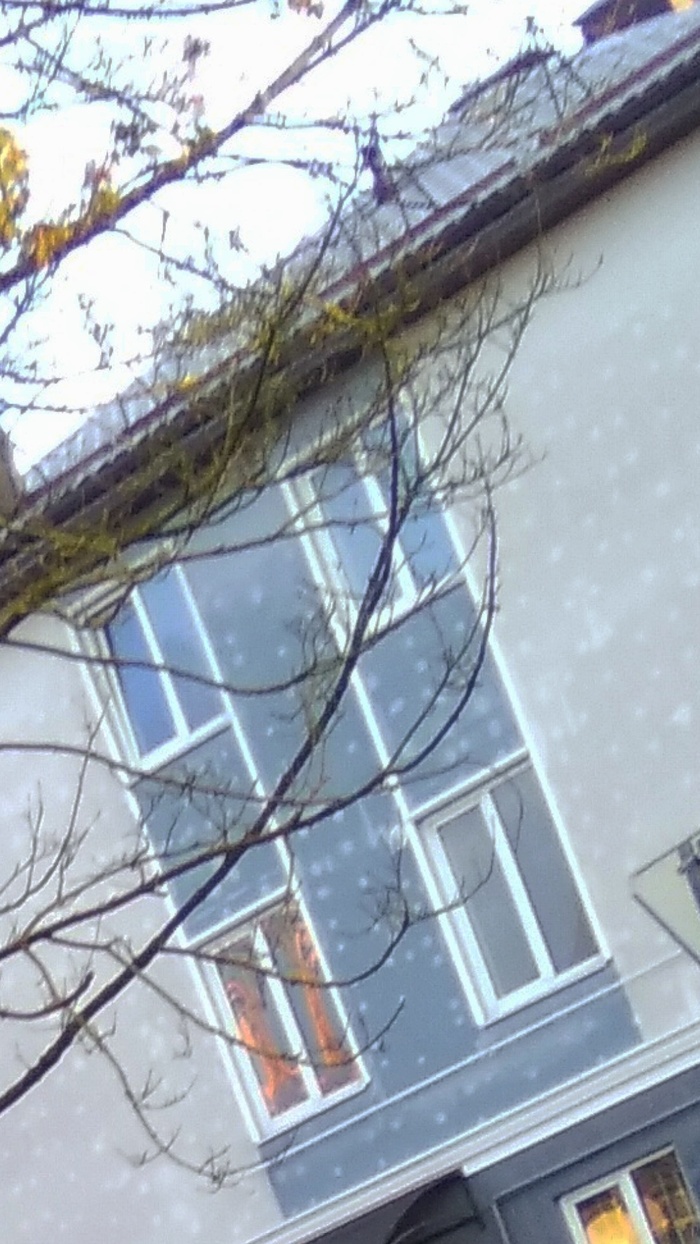 Что это такое?