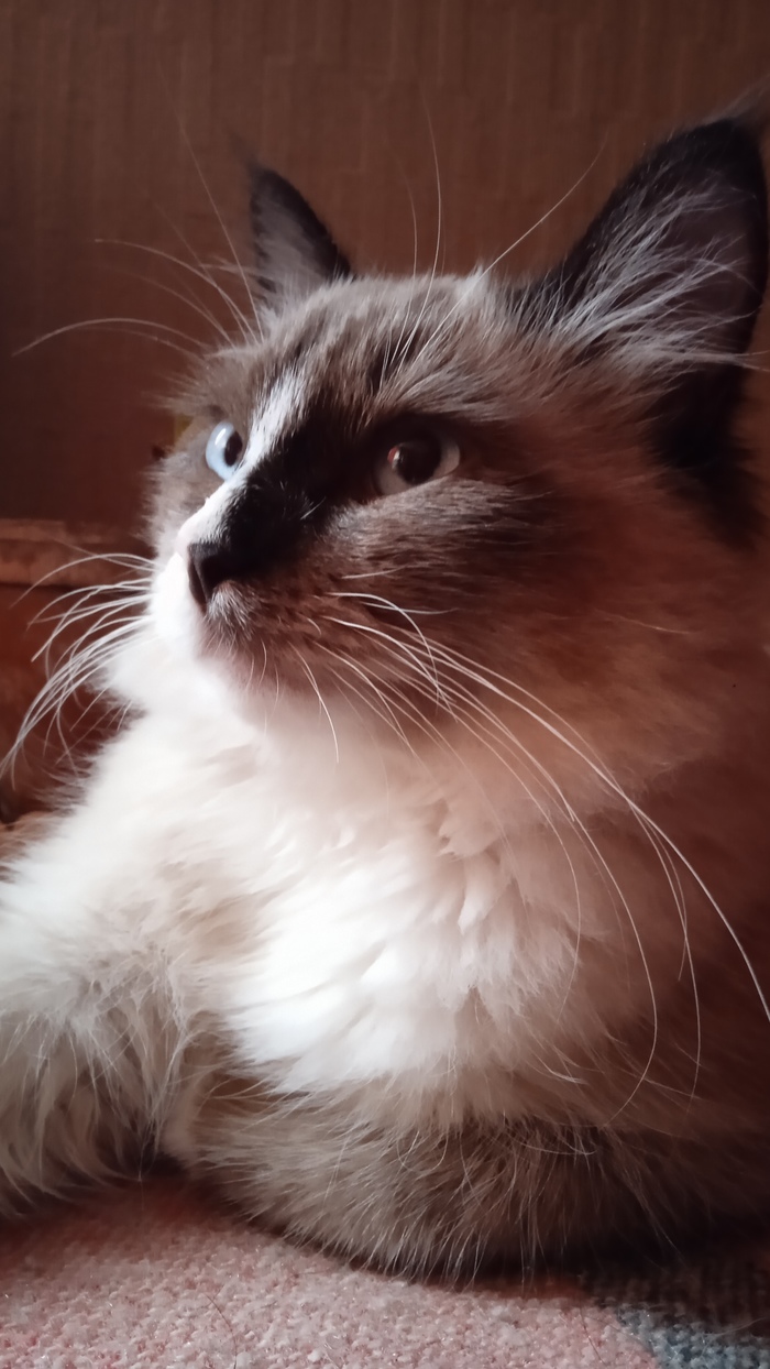 ��� ��� ������� ���� ����� ������� "��� ���������",������� �� ����������.������� �� ������,���� ��� ������,������ "�������"