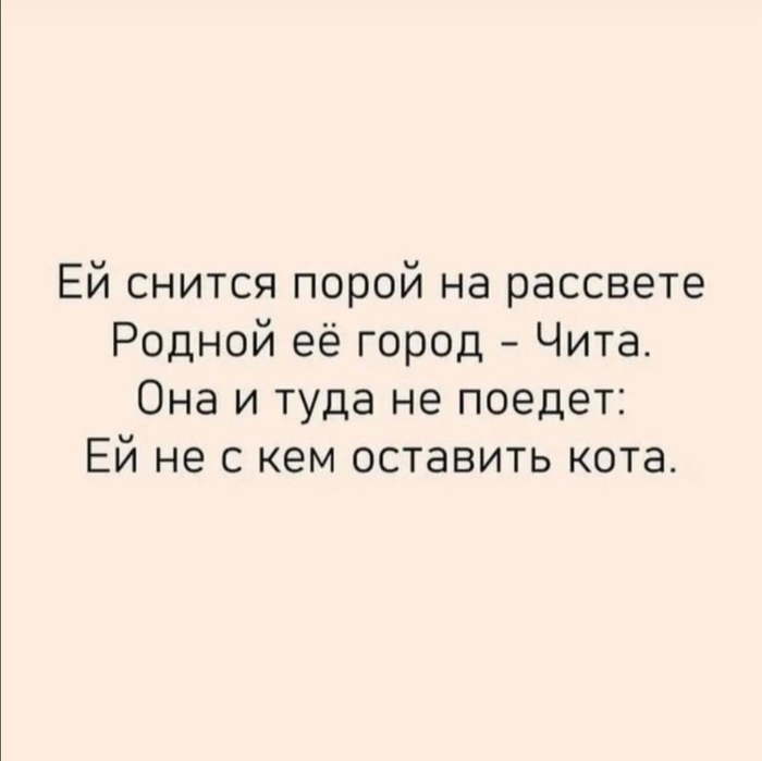 в каком городе много кошек. Смотреть фото в каком городе много кошек. Смотреть картинку в каком городе много кошек. Картинка про в каком городе много кошек. Фото в каком городе много кошек
