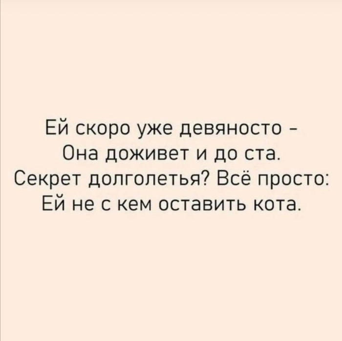 в каком городе много кошек. Смотреть фото в каком городе много кошек. Смотреть картинку в каком городе много кошек. Картинка про в каком городе много кошек. Фото в каком городе много кошек