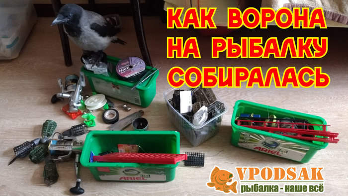 Как ворона на рыбалку собиралась