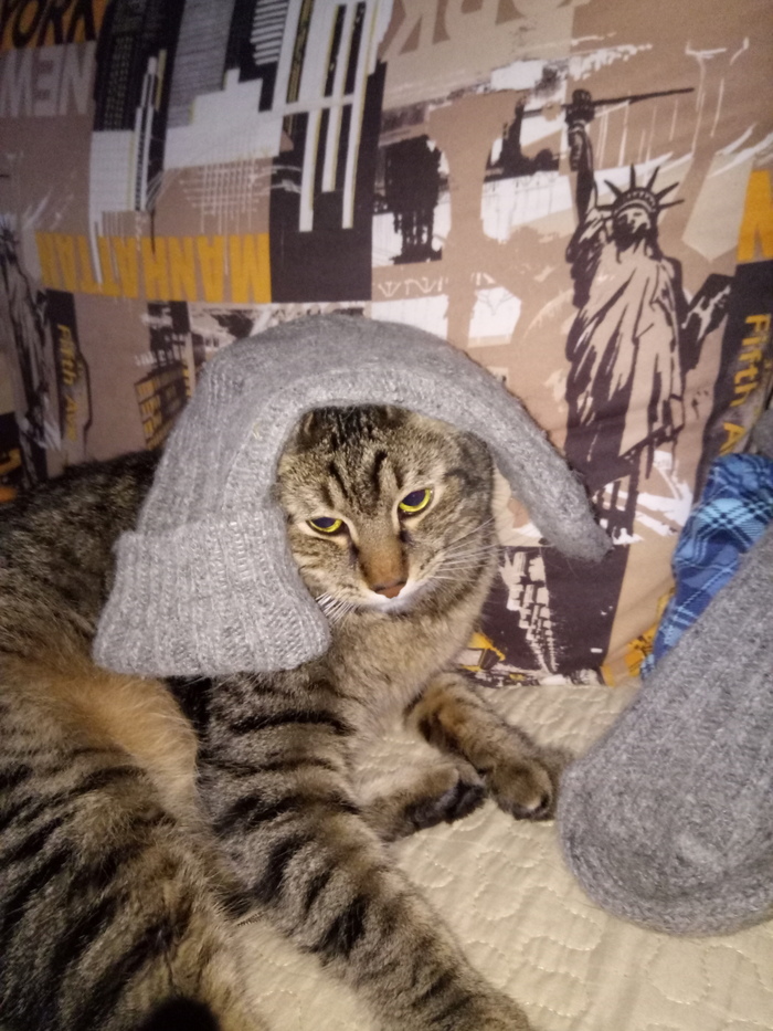 Лаки обормот :)