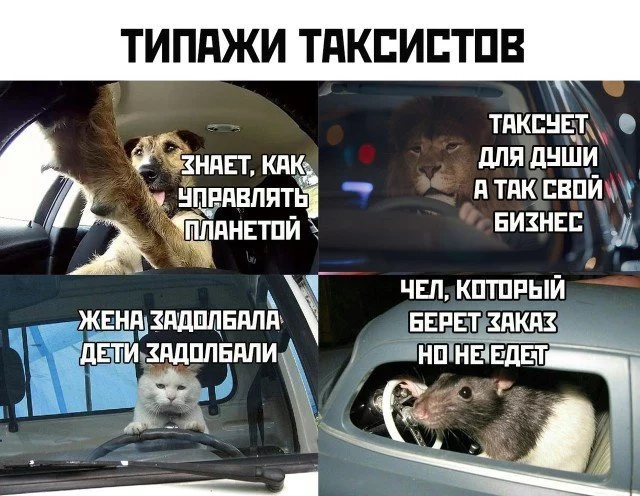 1634886386164744260.webp